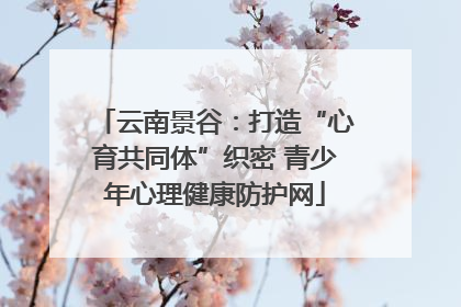 云南景谷：打造“心育共同体”织密 青少年心理健康防护网