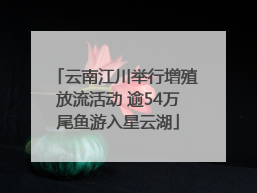 云南江川举行增殖放流活动 逾54万尾鱼游入星云湖