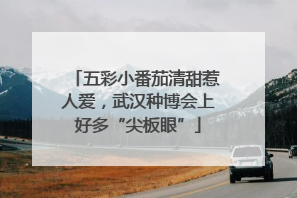 五彩小番茄清甜惹人爱，武汉种博会上好多“尖板眼”