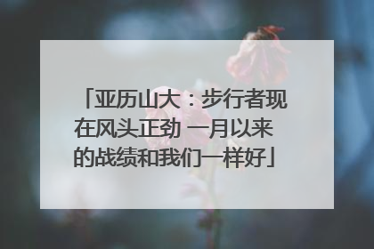 亚历山大：步行者现在风头正劲 一月以来的战绩和我们一样好