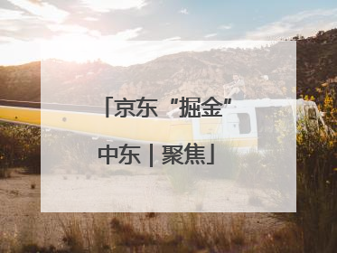 京东“掘金”中东｜聚焦
