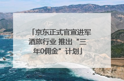 京东正式官宣进军酒旅行业 推出“三年0佣金”计划