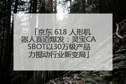 京东 618 人形机器人赛道爆发：灵宝CASBOT以30万级产品力搅动行业新变局