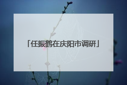 任振鹤在庆阳市调研