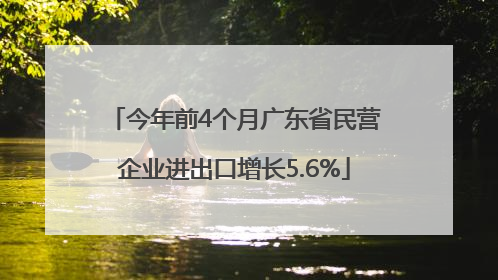 今年前4个月广东省民营企业进出口增长5.6%