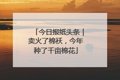 今日报纸头条｜卖火了棉袄，今年种了千亩棉花