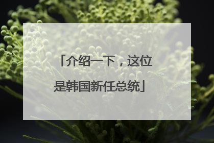 介绍一下，这位是韩国新任总统
