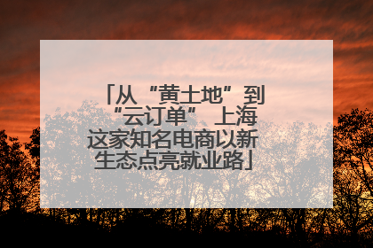 从“黄土地”到“云订单” 上海这家知名电商以新生态点亮就业路
