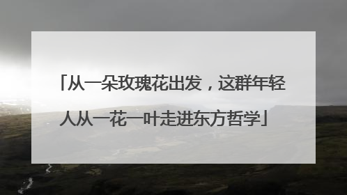 从一朵玫瑰花出发，这群年轻人从一花一叶走进东方哲学