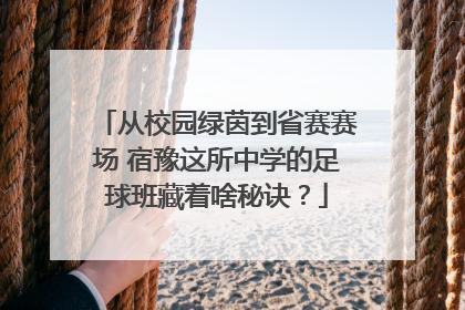 从校园绿茵到省赛赛场 宿豫这所中学的足球班藏着啥秘诀？