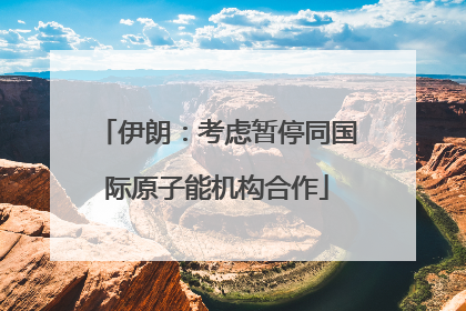 伊朗：考虑暂停同国际原子能机构合作