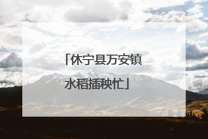 休宁县万安镇水稻插秧忙