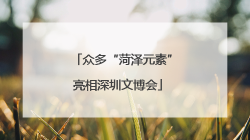 众多“菏泽元素”亮相深圳文博会