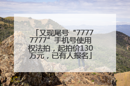 又现尾号“77777777”手机号使用权法拍，起拍价130万元，已有人报名
