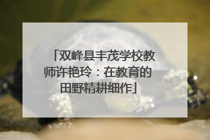 双峰县丰茂学校教师许艳玲：在教育的田野精耕细作