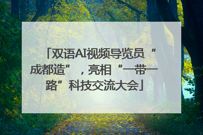 双语AI视频导览员“成都造”，亮相“一带一路”科技交流大会