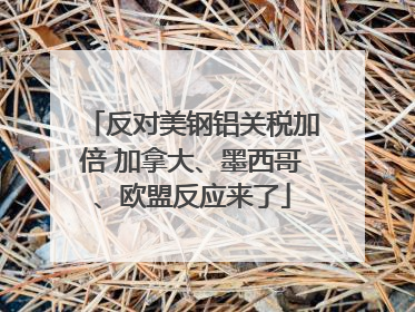 反对美钢铝关税加倍 加拿大、墨西哥、欧盟反应来了