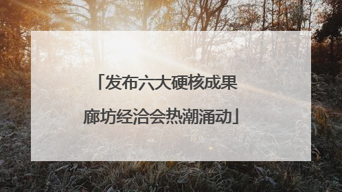 发布六大硬核成果 廊坊经洽会热潮涌动