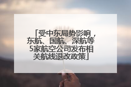 受中东局势影响，东航、国航、深航等5家航空公司发布相关航线退改政策