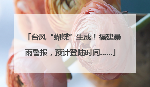 台风“蝴蝶”生成！福建暴雨警报，预计登陆时间……