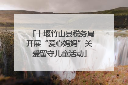 十堰竹山县税务局开展“爱心妈妈”关爱留守儿童活动