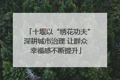 十堰以“绣花功夫”深耕城市治理 让群众幸福感不断提升