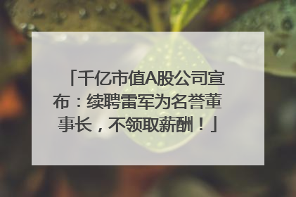 千亿市值A股公司宣布：续聘雷军为名誉董事长，不领取薪酬！