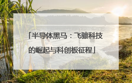 半导体黑马：飞骧科技的崛起与科创板征程