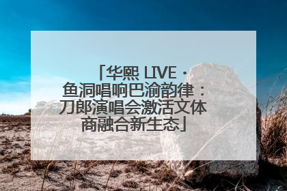 华熙 LIVE・鱼洞唱响巴渝韵律：刀郎演唱会激活文体商融合新生态