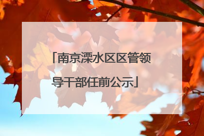 南京溧水区区管领导干部任前公示