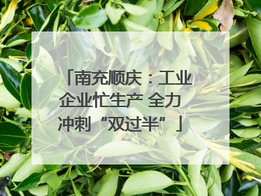 南充顺庆：工业企业忙生产 全力冲刺“双过半”