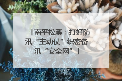 南平松溪：打好防汛“主动仗”织密备汛“安全网”