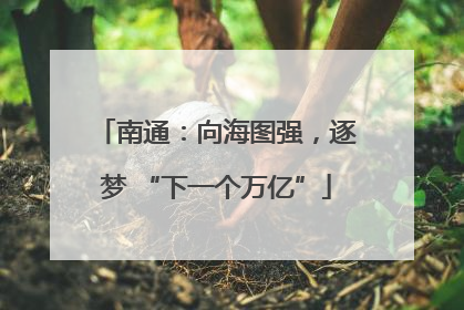 南通：向海图强，逐梦 “下一个万亿”
