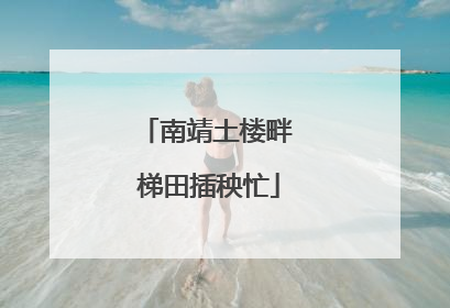 南靖土楼畔 梯田插秧忙