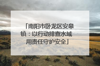 南阳市卧龙区安皋镇：以行动排查水域 用责任守护安全