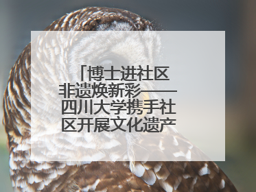 博士进社区 非遗焕新彩——四川大学携手社区开展文化遗产日特别活动