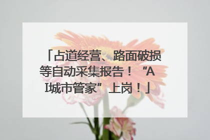 占道经营、路面破损等自动采集报告！“AI城市管家”上岗！