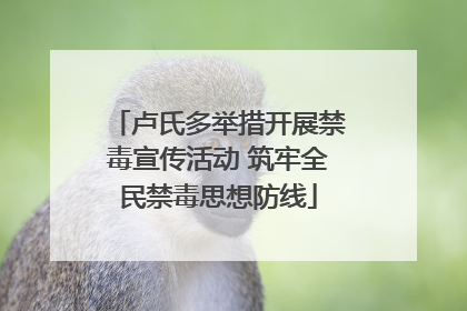 卢氏多举措开展禁毒宣传活动 筑牢全民禁毒思想防线