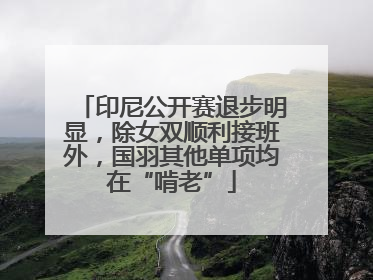 印尼公开赛退步明显，除女双顺利接班外，国羽其他单项均在“啃老”