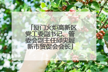 厦门火炬高新区党工委副书记、管委会副主任邱尖履新市贸促会会长