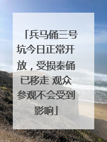 兵马俑三号坑今日正常开放，受损秦俑已移走 观众参观不会受到影响