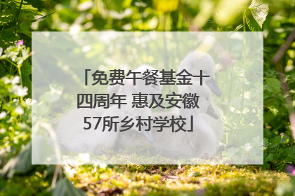 免费午餐基金十四周年 惠及安徽57所乡村学校