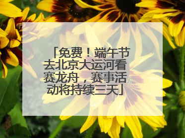 免费！端午节去北京大运河看赛龙舟，赛事活动将持续三天