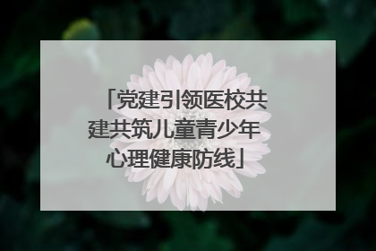 党建引领医校共建共筑儿童青少年心理健康防线