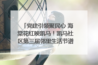 党建引领聚民心 海棠花红映凯马！凯马社区第三届邻里生活节谱写幸福新篇章