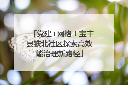 党建+网格！宝丰县铁北社区探索高效能治理新路径