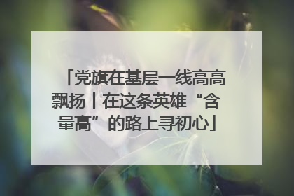 党旗在基层一线高高飘扬丨在这条英雄“含量高”的路上寻初心