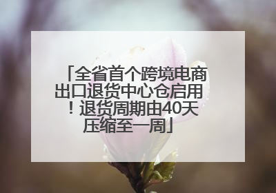 全省首个跨境电商出口退货中心仓启用！退货周期由40天压缩至一周
