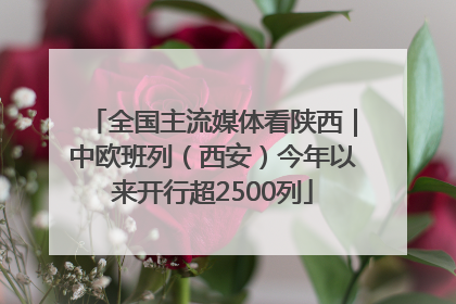 全国主流媒体看陕西｜中欧班列（西安）今年以来开行超2500列