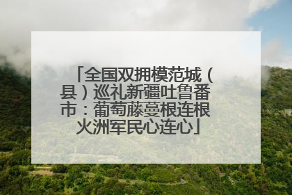 全国双拥模范城（县）巡礼新疆吐鲁番市：葡萄藤蔓根连根 火洲军民心连心